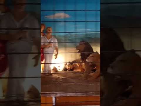 Visitando el Laberinto en Los COCOS  ● Córdoba 3