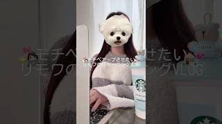 モチベ🆙させたいリモワの日VLOG😽❄️ #日常vlog #おすすめ #vlog #社会人の日常 #おすすめ#おうち時間 #ぷくぷく界隈 #ルーティン