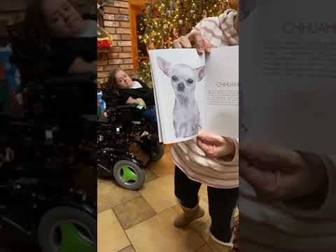 Breed All About Us: LIVE (Episode 25: Chihuahua Edition)