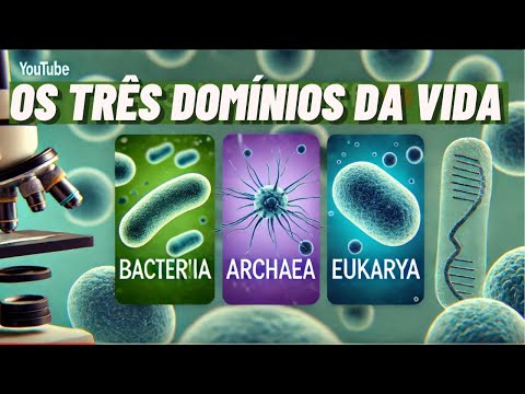 The Three Domains of Living Beings | 3-MINUTE ANIMATION