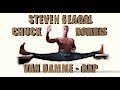 THE CHUCK NORRIS STEVEN SEAGAL VAN D