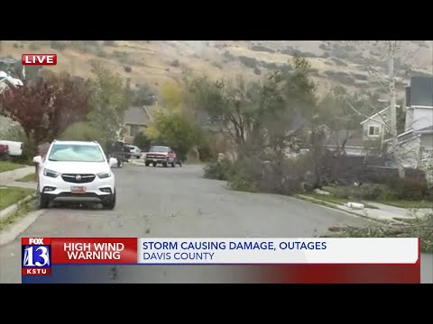 Centerville trees down