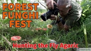 NATURE PHOTOGRAPHY- FUNGHI- MACRO IN THE HIGHLANDS