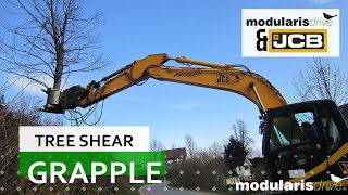 Купить валочную головку Tree Shear Grapple - Baumschere graifer / Fällgreifer - Изображение 4 | Agronetto KZ Новая валочная головка Tree Shear Grapple - Baumschere graifer / Fällgreifer | Изображение 4 - Agronetto