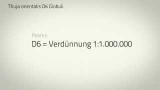 Homöopathie: Thuja occidentalis D6 Globuli | Video