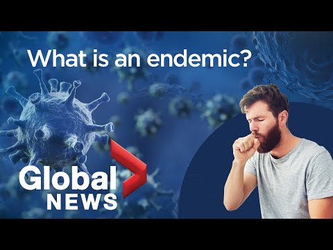 Could COVID-19 become endemic, and what would that mean?