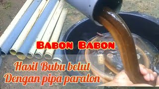 Download lagu SUPER BABON BABON !!!! HASIL BUBU BELUT DENGAN PIPA PARALON mp3