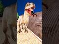 Dinosaur Enter Shelter Room Godzilla Attack Dinosaurs Dinosaur Cartoon Dinosaurvideo Dinosaurs