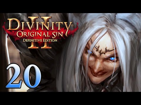 Divinity Original Sin 2 - Part 20 - (Lonewolf - Multiplayer with Aavak)