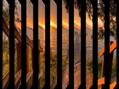 241 Que alegria neste dia, Instrumental, Hinário Brados de Júbilo