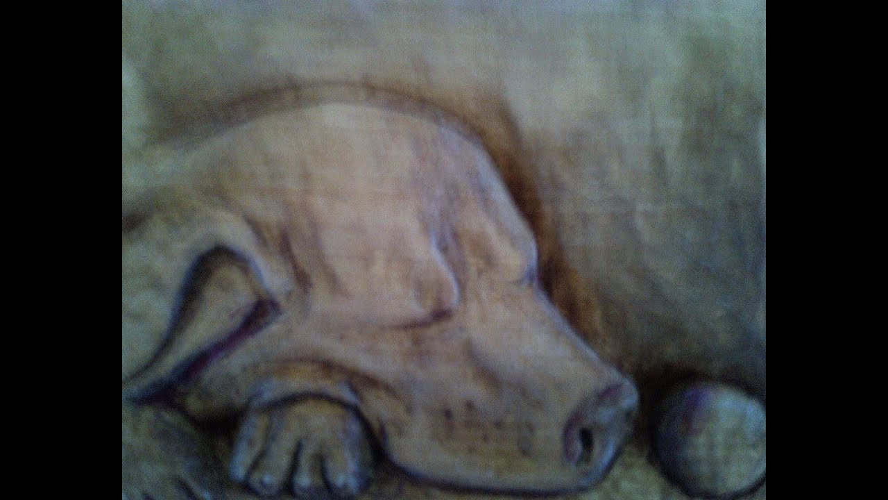 Schaaf Tools Beginner Carving of a Dog