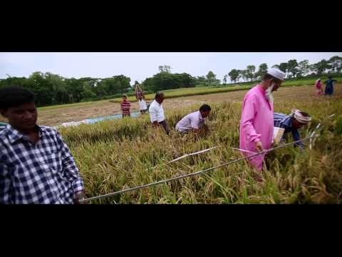 কৃষি পরিসংখ্যান