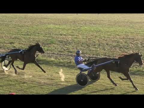 Trka "Preobraženje" 19.08.2021 Angone Love - Milan Vasić