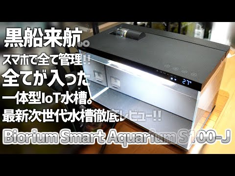 ヘロストマ テミンキ