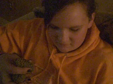 the pinecone acorn series: part 1