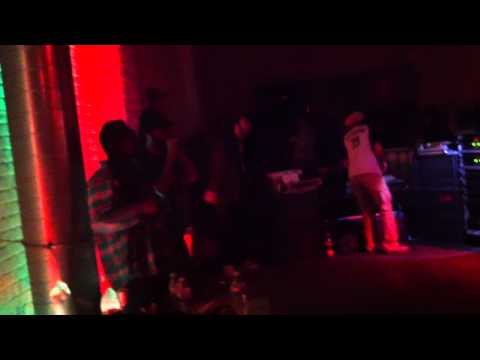 blackboard jungle & tenna star  red stripe reggaebus night