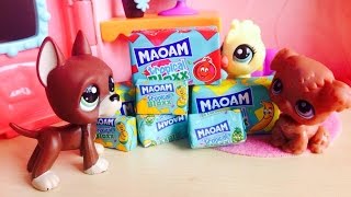 Littlest Pet Shop: Leon #3 Cukrové šílenství Littlest Pet Shop: Leon #3 Cukrové šílenství
