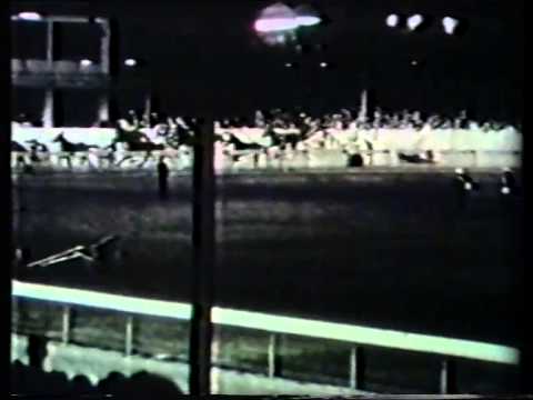 The Night of Glory - the story of the Interdominion