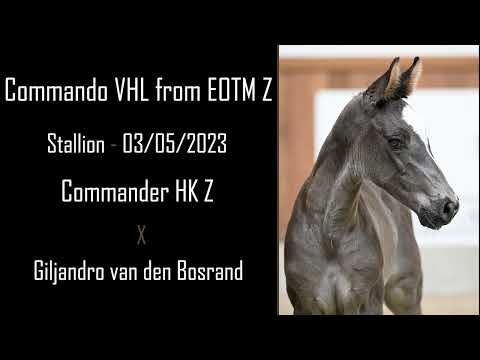 Commando VHL from EOTM Z
