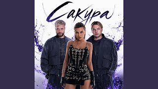 Сакура (Sakura) Lyrics English Translation