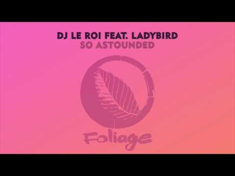 DJ Le Roi feat. Ladybird – So Astounded (Halo & Atjazz Dub)
