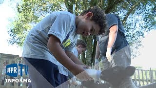 Miniatura do vídeo