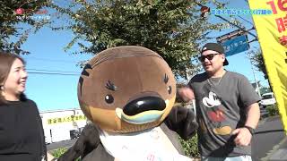 2025/11/19放送・知ったかぶりカイツブリにゅーす