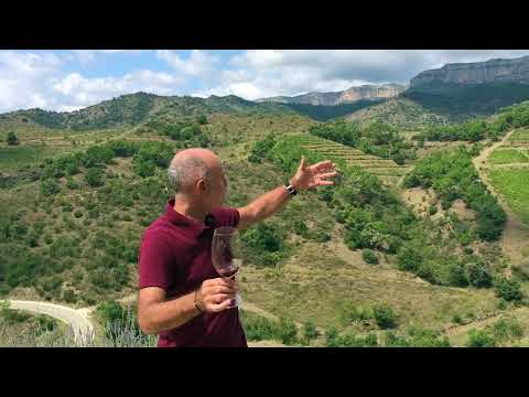 MAS DOIX - Einblicke Weingut