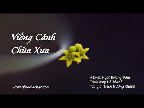 Viếng cảnh chùa xưa