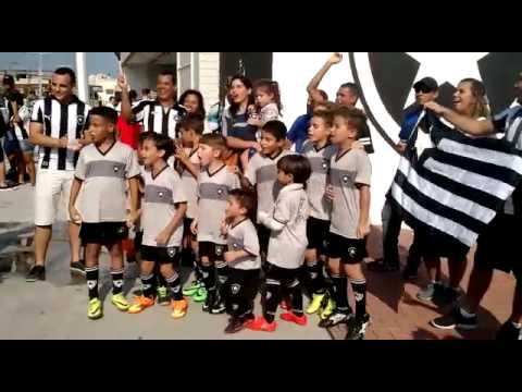 Escolinha Oficial do Botafogo em Campo dos Afonsos com alunos no jogo dos profissionais no Engenhão