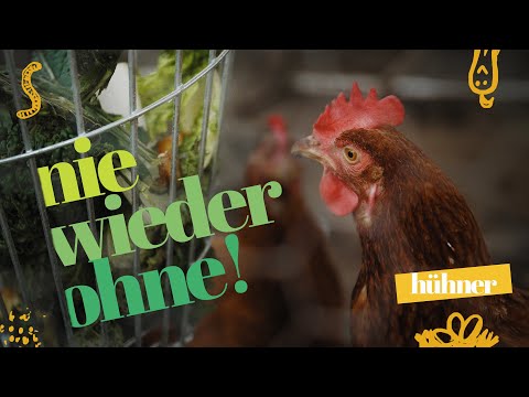 Hühnerstall einrichten / Das ist unser Lieblings Hühner Zubehör! #hühner