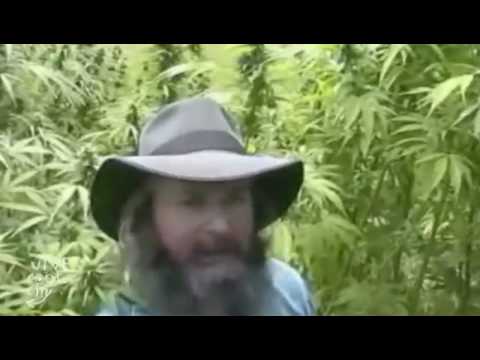 ViveCoolCity.com - Interview with Kog, A Grower's Lot (Part 2 of 2)