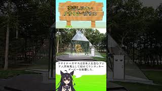 発音しにくいフサイチペガサス#フサイチペガサス #ケンタッキーダービー #日本馬の快挙 #アジア人初制覇 #競馬伝説 #種牡馬 #白紙小切手
