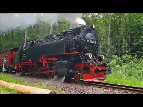 Harz - Wanderung rund um die Steinerne Renne