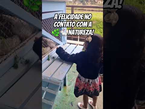 👩‍🌾 FÉRIAS NO RANCHO QUINDINS  EM PATY DO ALFERES RJ 👨‍🌾 FAZENDINHA #fazendinha #patydoalferesrural