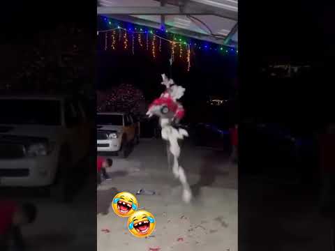🐶🍬 Lugares donde me hubiera gustado estar: esa fiestaFirulais pensó que la piñata era un ladrón 💀🐕