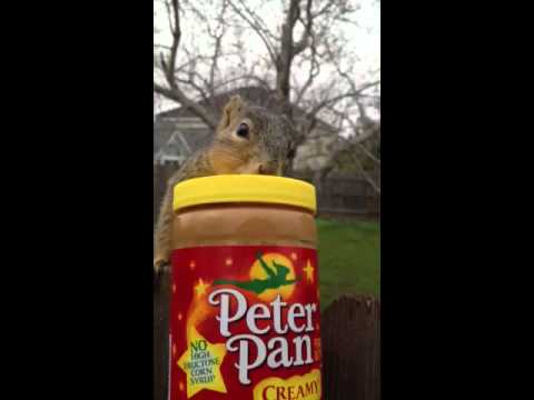 Peter Pan Peanutbutter