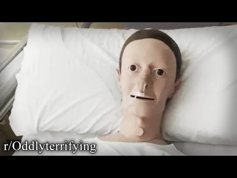 r/Oddlyterrifying | you feeling okay Mark?