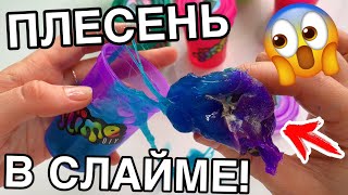 ШОК😱 ВСЕ СЛАЙМЫ ПРОТУХЛИ! ПЛЕСЕНЬ В СлаймаХ УЖАСНЫЕ СЛАЙМЫ БЕЗ КЛЕЯ