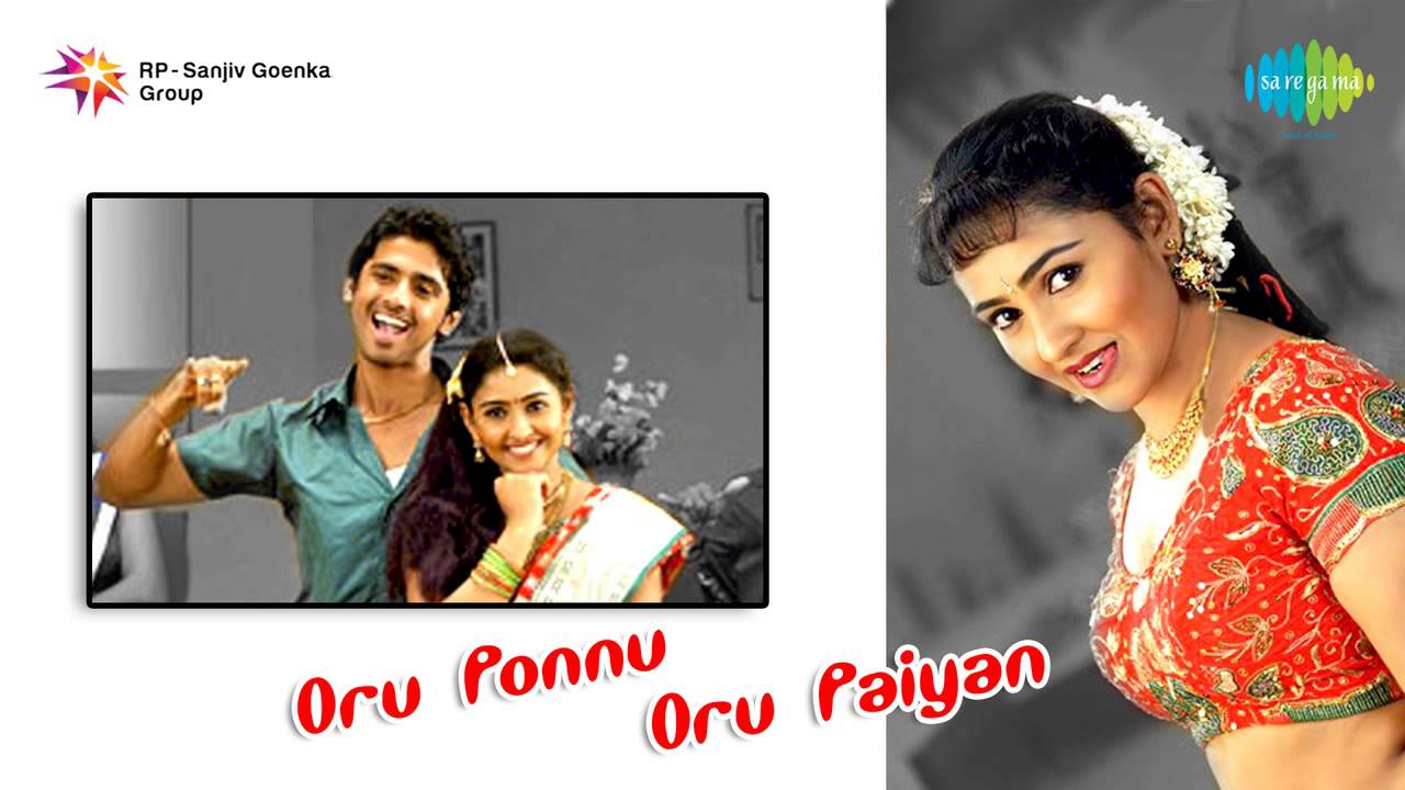 Nenjil Vaazhgira Male Song Lyrics | Oru Ponnu Oru Paiyan | Karthik Raja