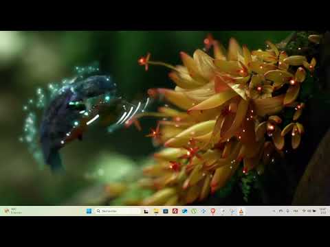 YT music & video Downloader