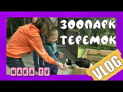 Контактный зоопарк ТЕРЕМОК / ТРЦ Колумб