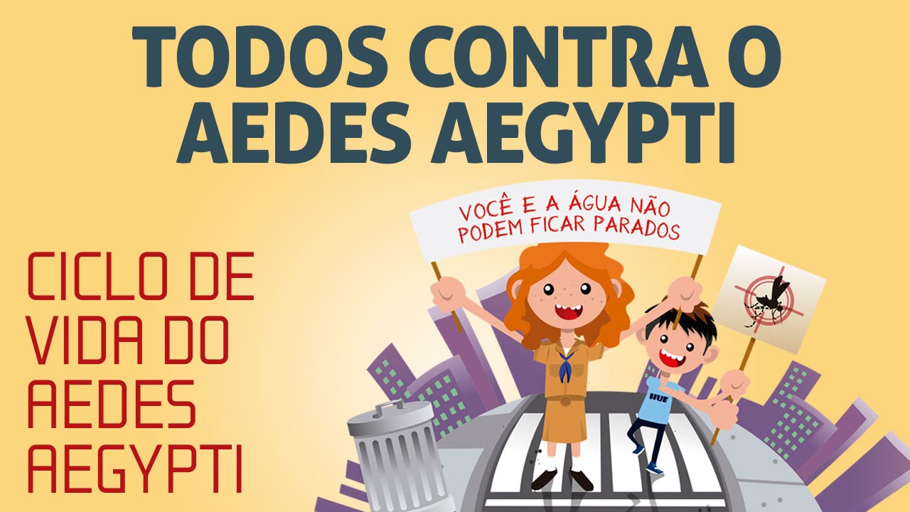 Ciclo de vida do Aedes aegypti - Livro Todos Contra o Aedes Aegypti