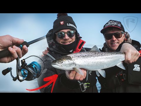 So fängst du diesen Frühling MEERFORELLEN in der OSTSEE  | Raubfischangeln