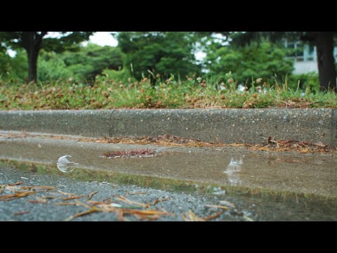人文社会学科 【不在の時間#27】泡とサークル棟　愛知大学　豊橋キャンパスの様子　20200610