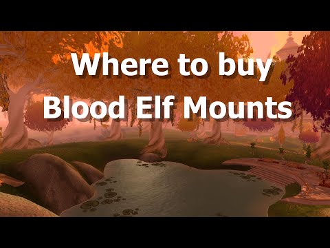 Where to buy Blood Elf Mounts--WoW TBC Classic