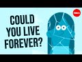 Can you freeze your body and come back to life? - Shannon N. Tessier