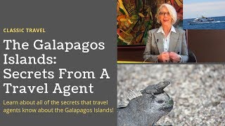 The Galapagos Islands: Secrets From A Travel Agent