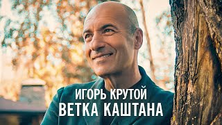 Игорь Крутой - Ветка каштана (официальное видео)