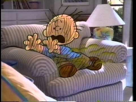 Regina Steamer Carpet Cleaner commercial featuring Pigpen